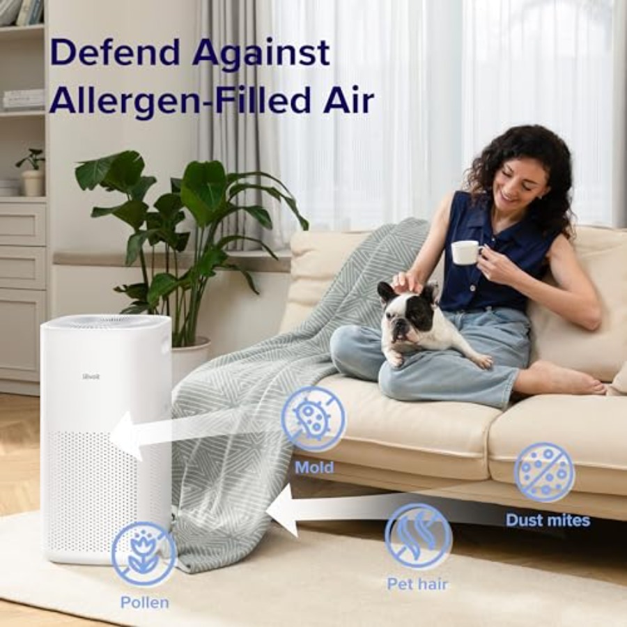 Air Purifiers for Home and Bed - Smart Home Controller reseña y precio