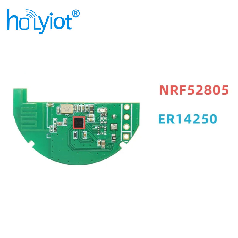 2Pcs IP67 Waterproof nRF52805  - Smart Home Iot reseña y precio