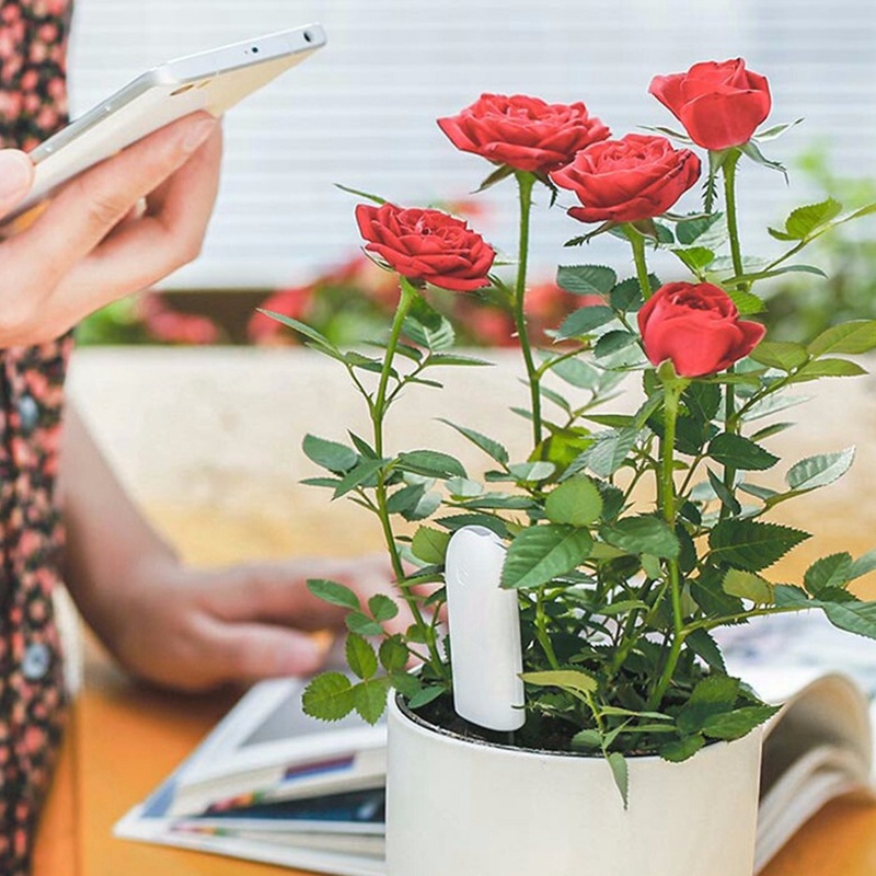 HHCC Flower Monitor Flora Gard - Smart Home Xiaomi Kit reseña y precio