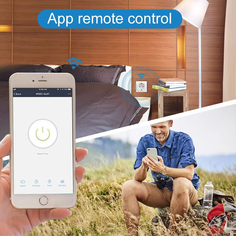 ZigBee 3.0 Smart EU Socket WiF - Smart Home Yandex reseña y precio