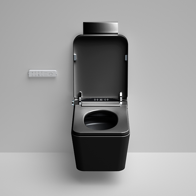 Home Ceramic Bidet Smart Toile - Smart Home Remote reseña y precio