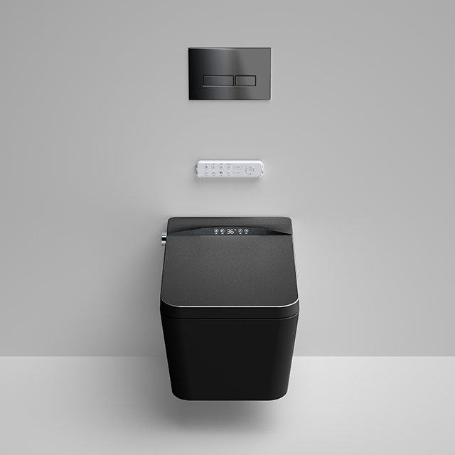 Home Ceramic Bidet Smart Toile - Smart Home Remote reseña y precio