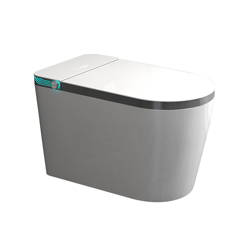 Smart toilet Fully automatic f - Smart Home Remote reseña y precio