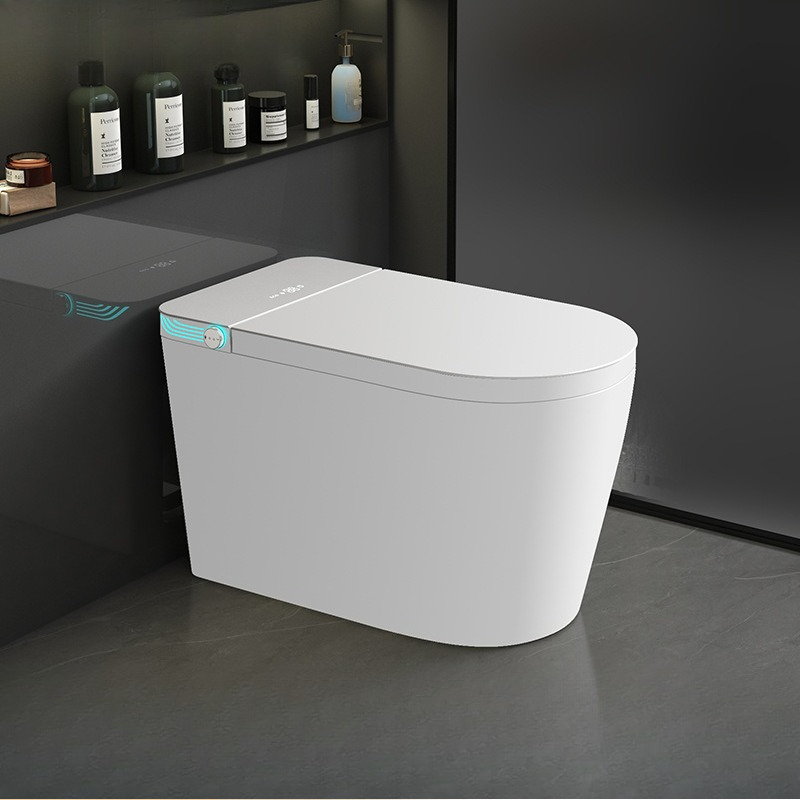 Smart toilet Fully automatic f - Smart Home Remote reseña y precio
