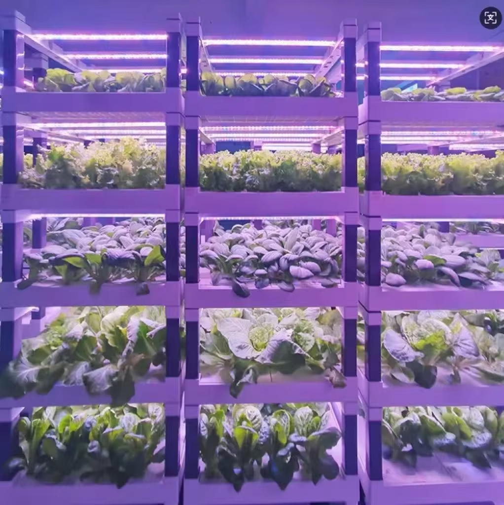 Hydroponic Grow System Greenho - Smart Home Device reseña y precio